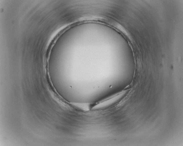 X0000070831124200607142334