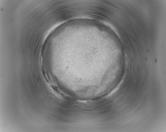 X0000070831125200607142334