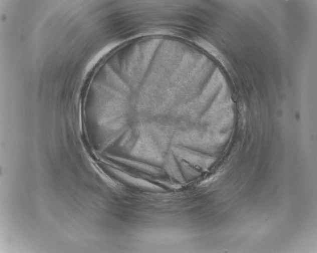 X0000070831127200607142334