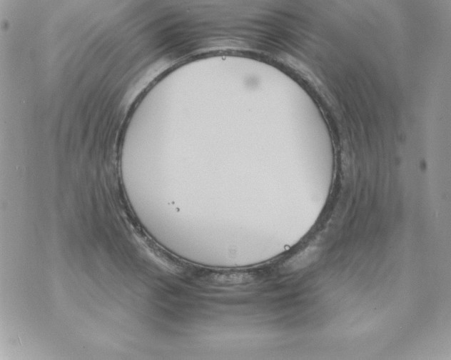 X0000070831129200607142334