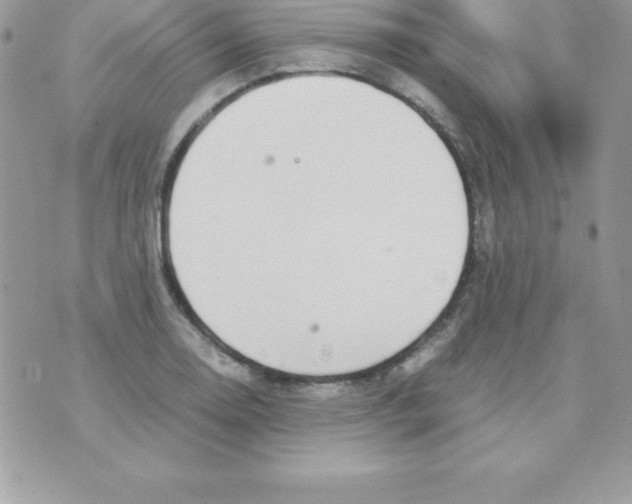 X0000070831130200607142334