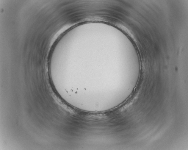 X0000070831133200607142334