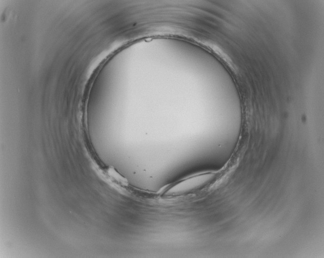 X0000070831134200607142334