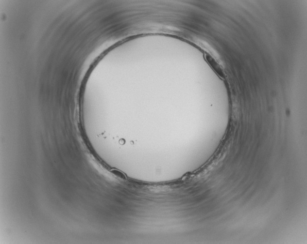 X0000070831136200607142334