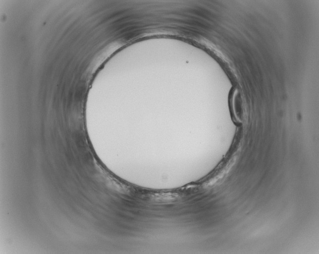 X0000070831137200607142334