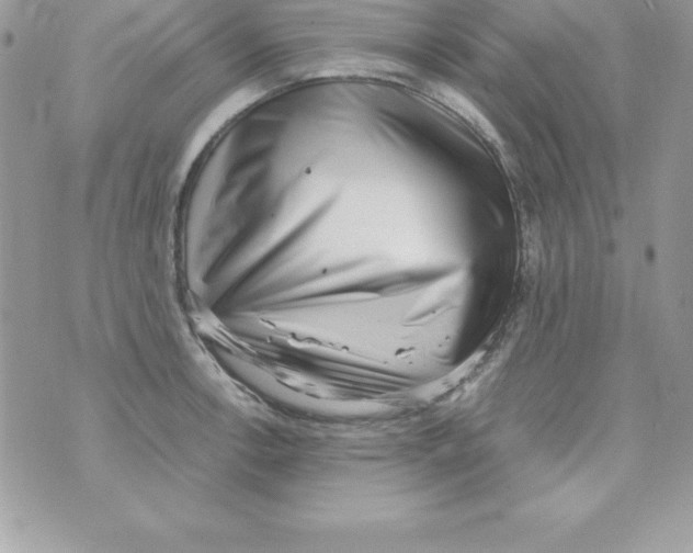 X0000070831138200607142334