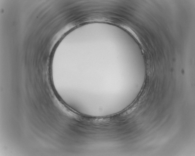 X0000070831139200607142334