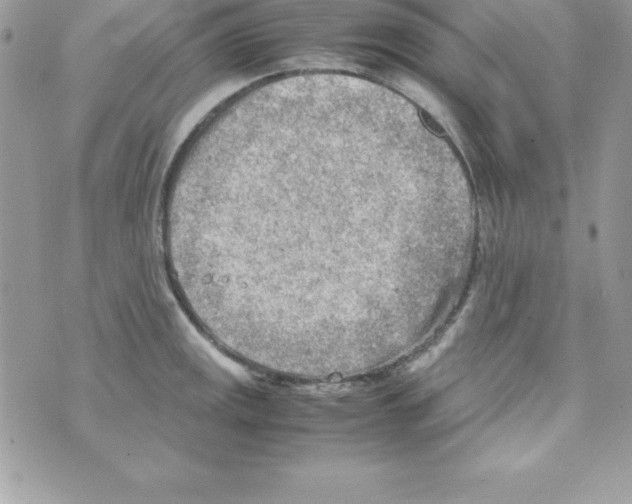 X0000070831141200607142334