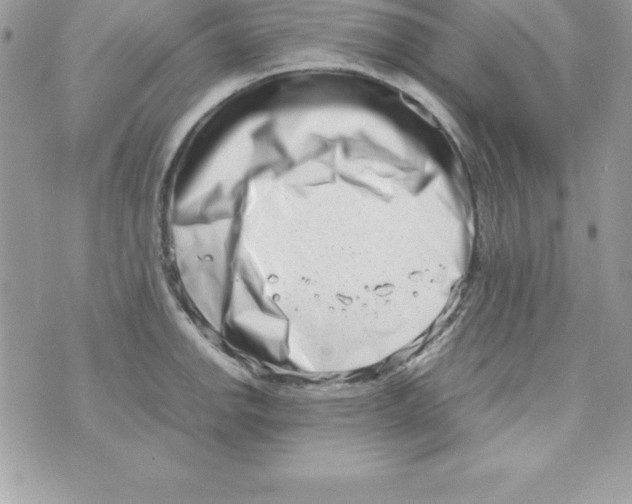 X0000070831142200607142334