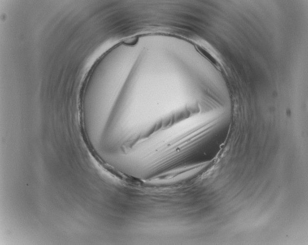 X0000070831143200607142334