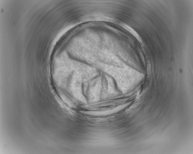 X0000070831144200607142334