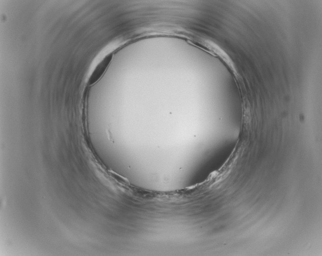 X0000070831146200607142334