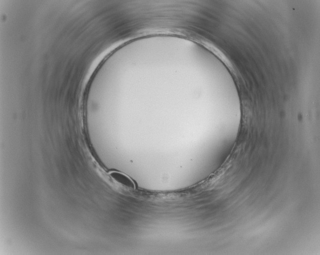 X0000070831148200607142334