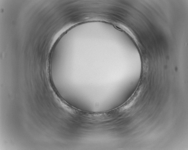 X0000070831149200607142334