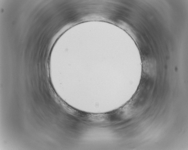 X0000070831150200607142334