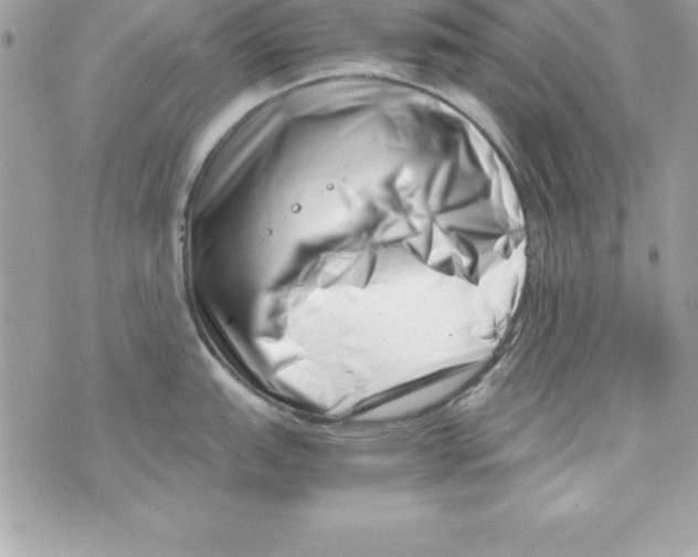 X0000070831151200607142334