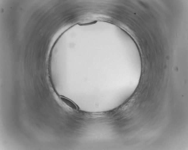 X0000070831152200607142334