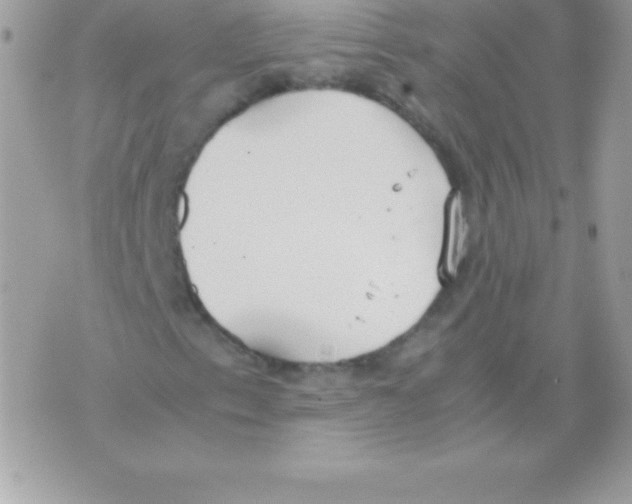 X0000070831153200607142334