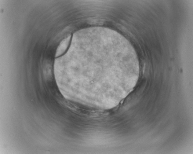 X0000070831154200607142334