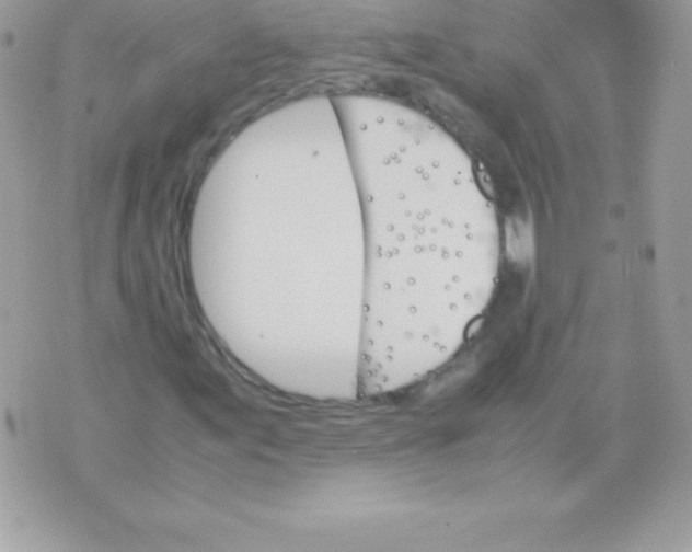 X0000070831155200607142334