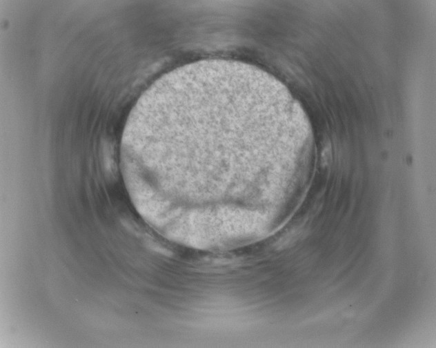 X0000070831156200607142334