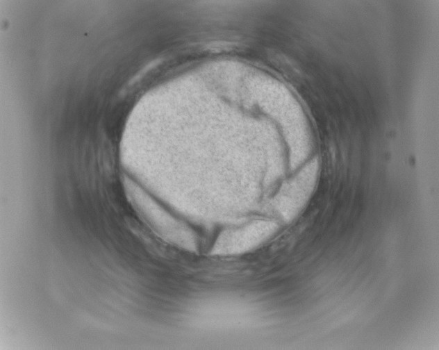 X0000070831158200607142333