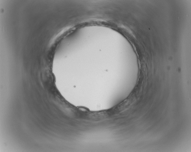 X0000070831159200607142333