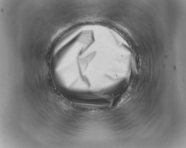 X0000070831160200607142333