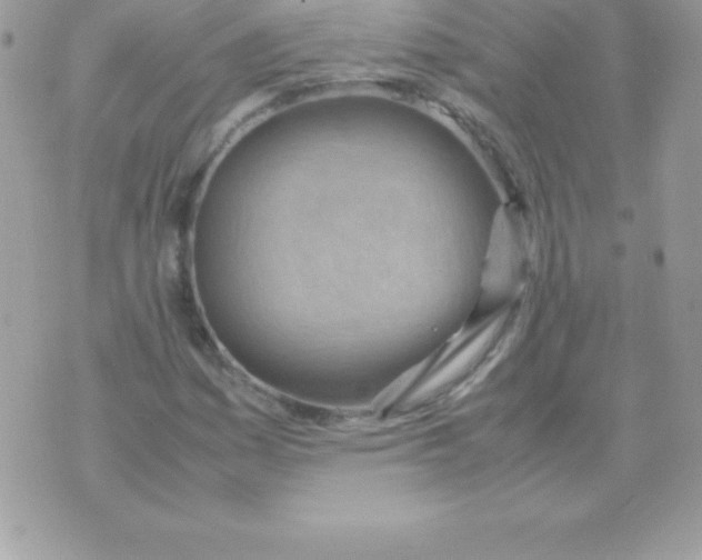 X0000070831161200607142333