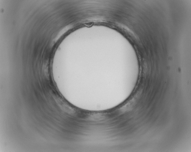 X0000070831162200607142333