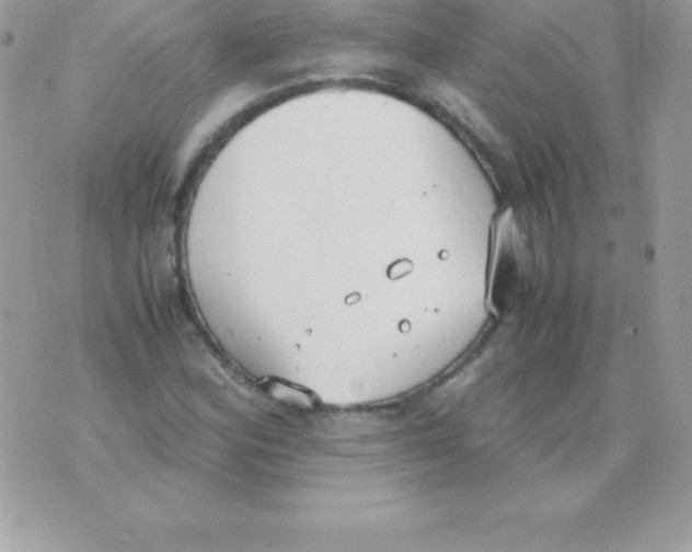 X0000070831164200607142333