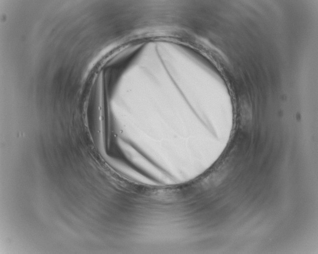 X0000070831166200607142333