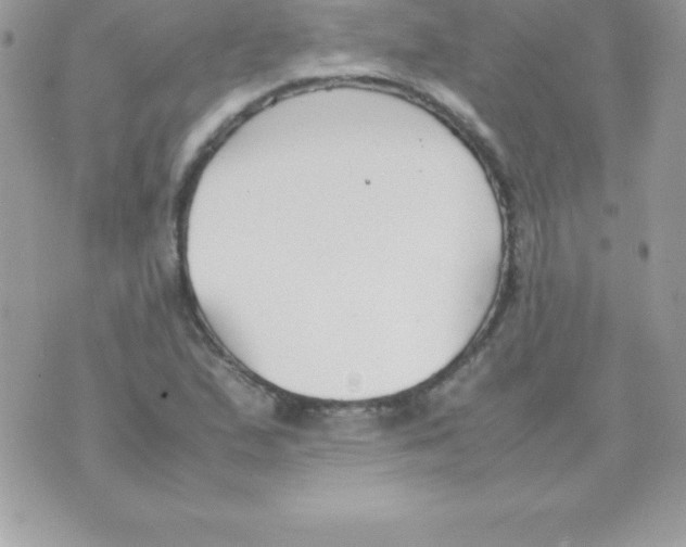 X0000070831167200607142333