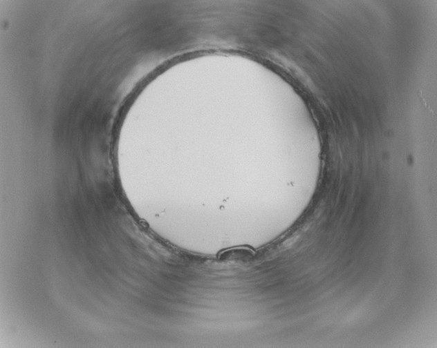 X0000070831168200607142333