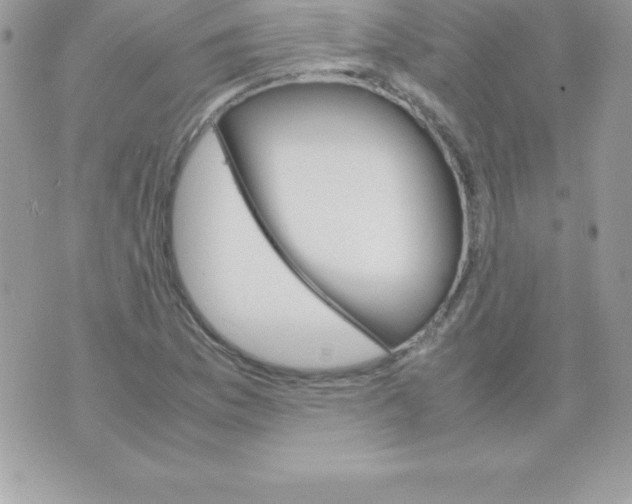 X0000070831169200607142333