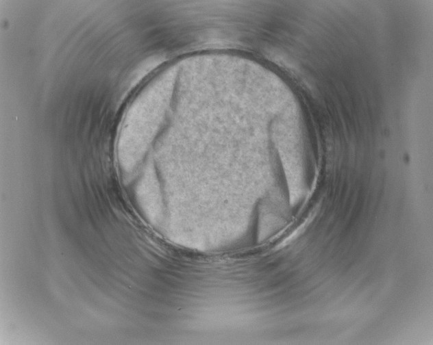 X0000070831170200607142333