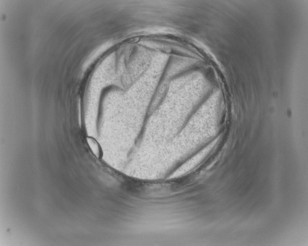 X0000070831171200607142333