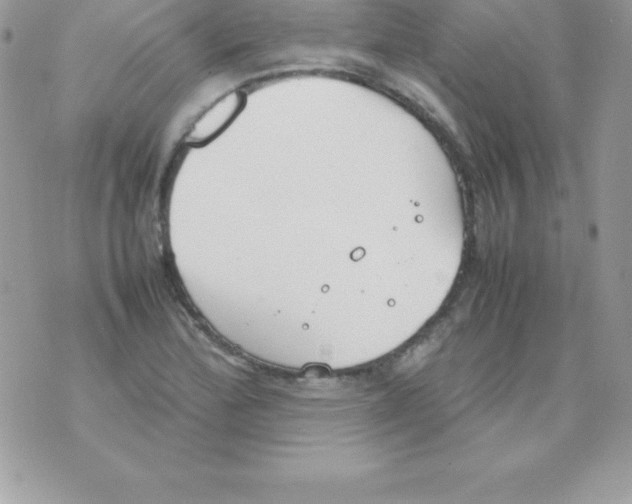 X0000070831172200607142333