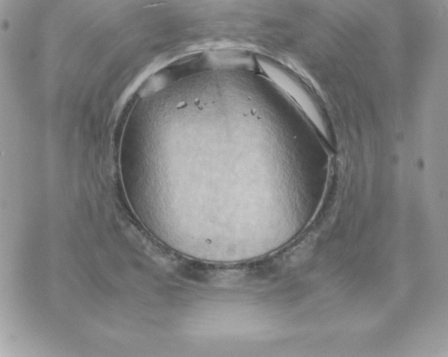 X0000070831173200607142333