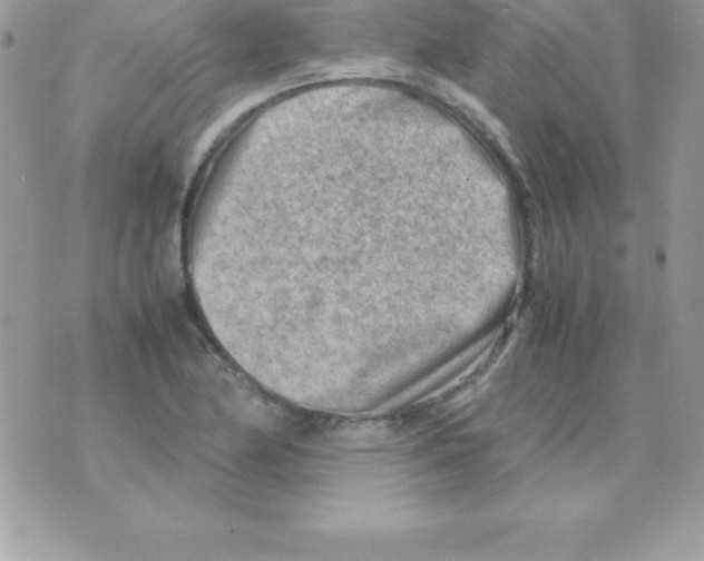 X0000070831174200607142333