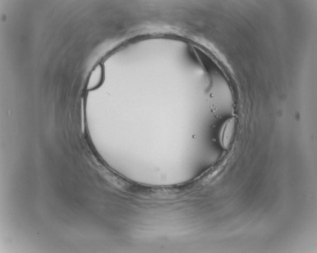 X0000070831175200607142333