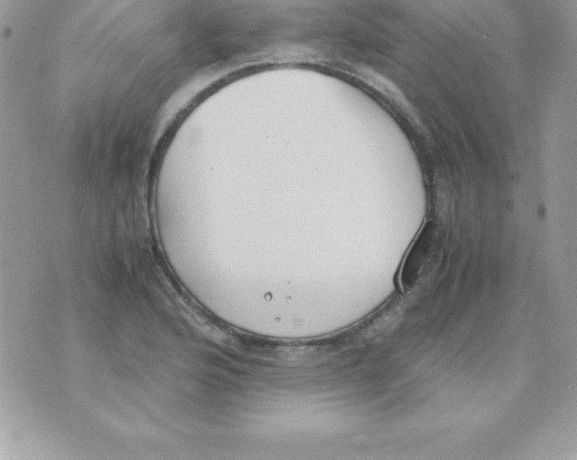 X0000070831176200607142333