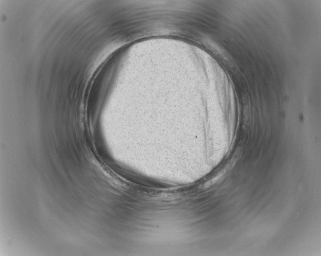 X0000070831178200607142333