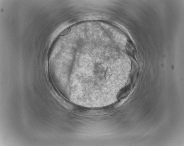 X0000070831179200607142333