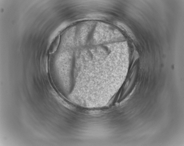 X0000070831180200607142333