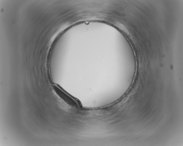 X0000070831181200607142333