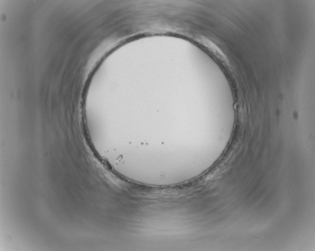 X0000070831183200607142333