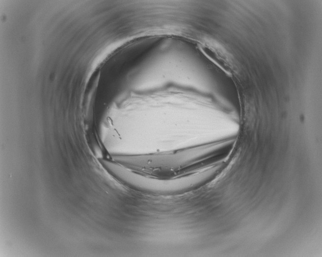 X0000070831184200607142333