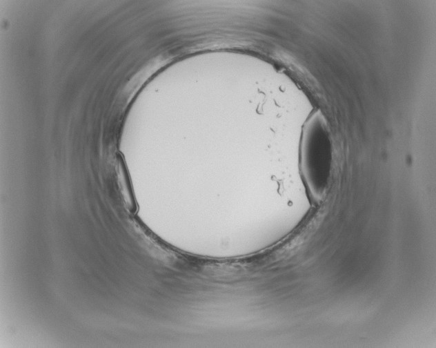 X0000070831185200607142333