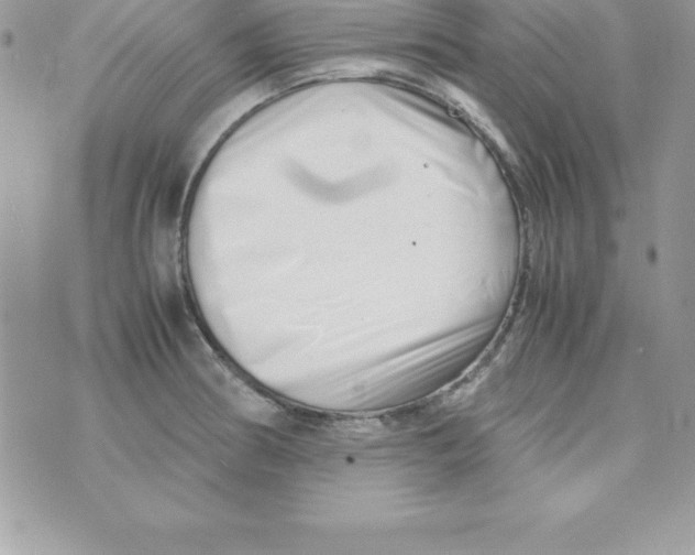 X0000070831186200607142333